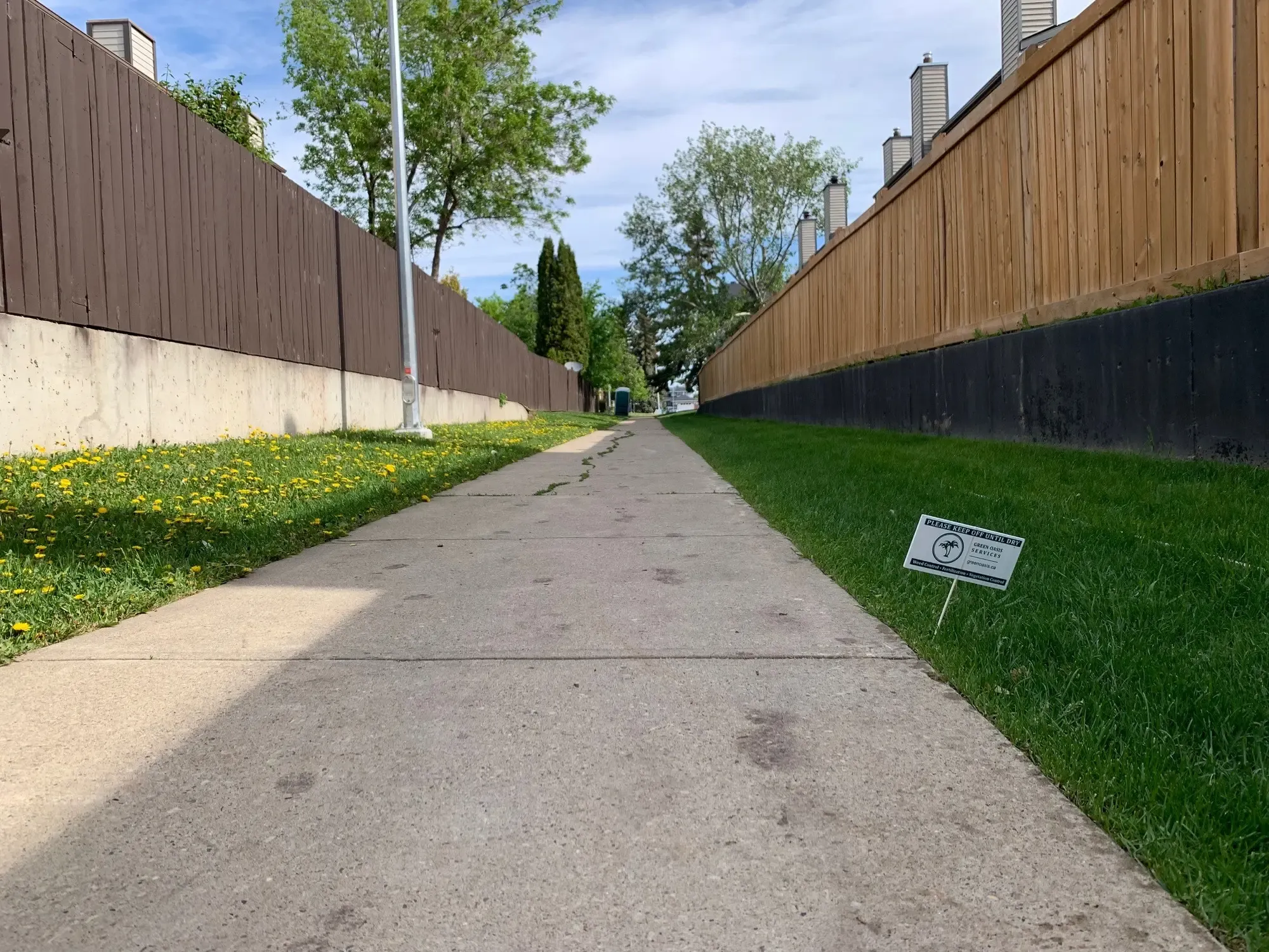 Weed control treatment results along residential alley
