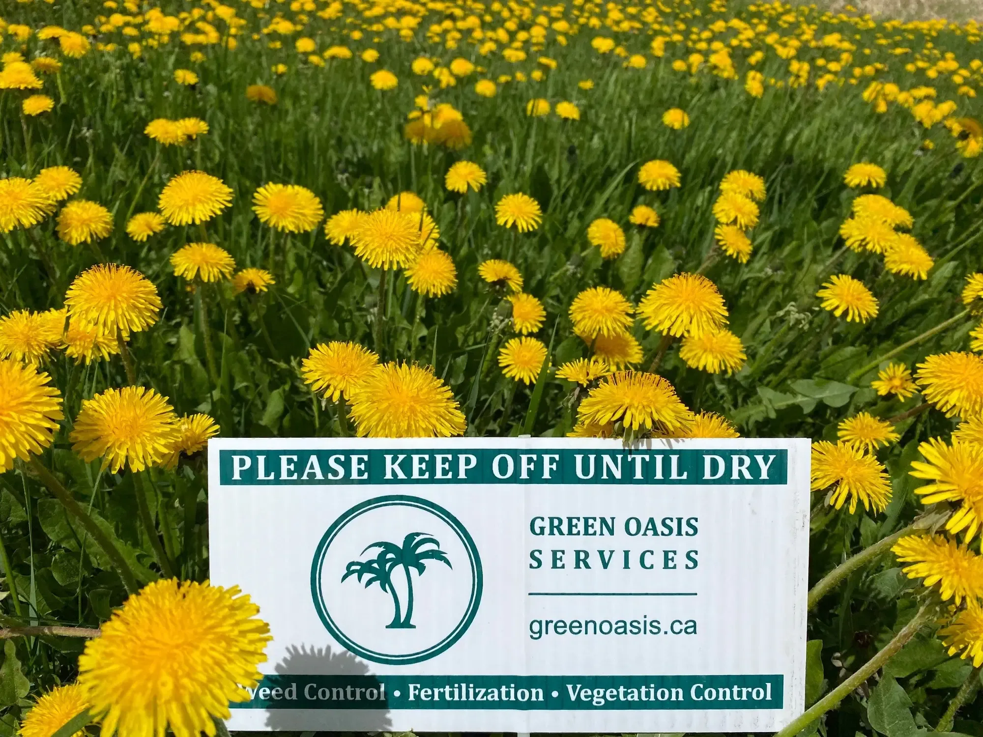 Weed Control