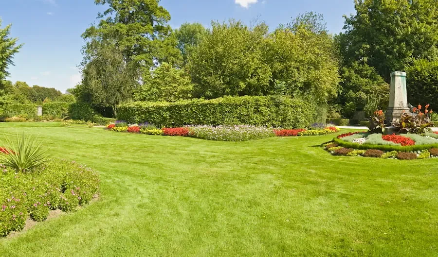 Formal garden with sculpted topiary and flower beds
