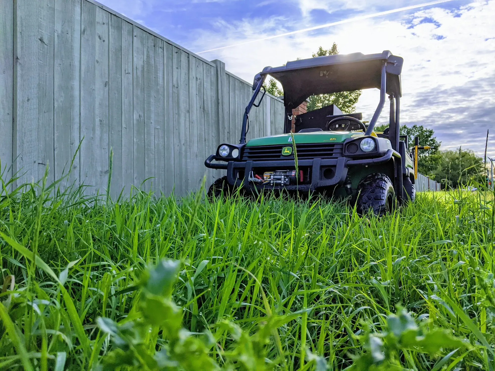 Vegetation Control