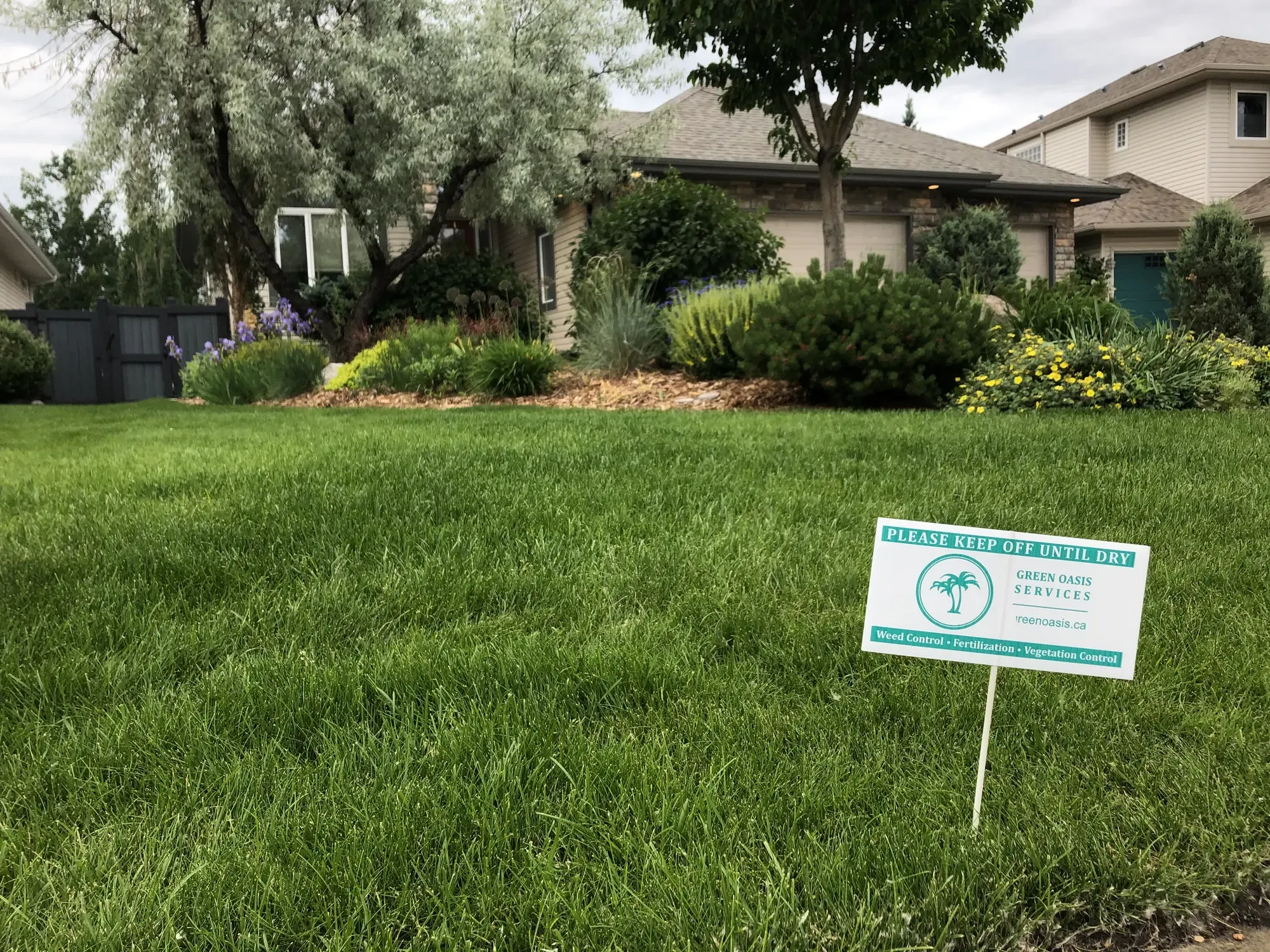Healthy residential lawn with Green Oasis treatment sign