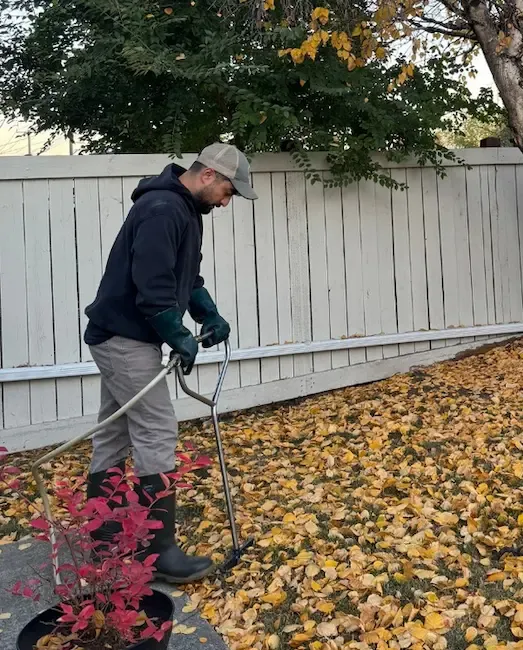 Technician performing deep root feeding on tree