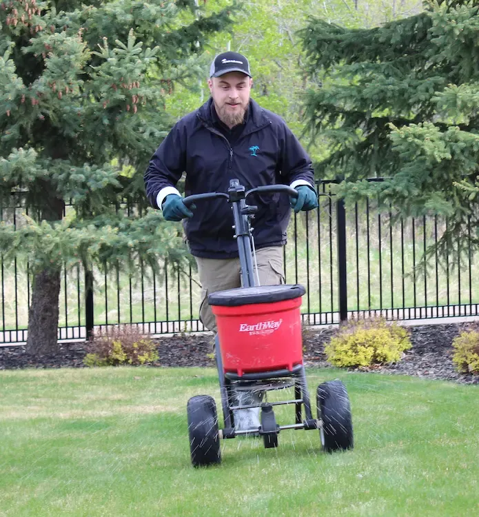 Technician pushing granular fertilizer spreader on lawn
